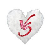 soneirvishwa official logo 2017